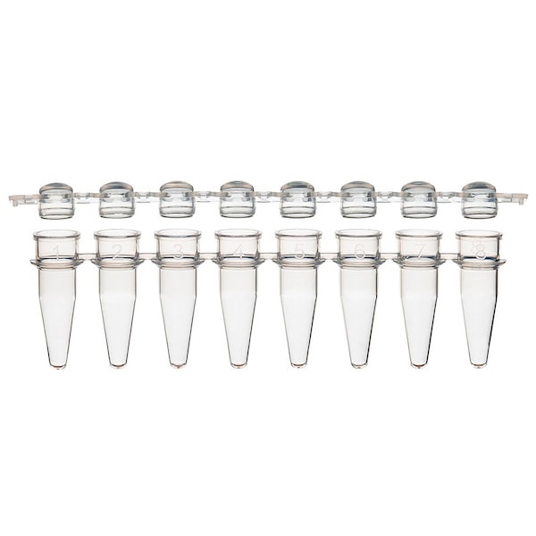 Globe Scientific 0.2mL 12-Strip Tubes, with Separate 12-Strip clear Dome caps, Natural, 80PK PCR-STR-02D-12 - main